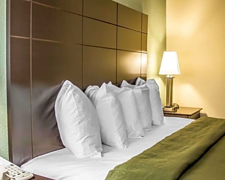 1 King Bed, Nonsmoking