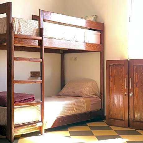 Bed in 6-Bed Mixed Dormitory Room