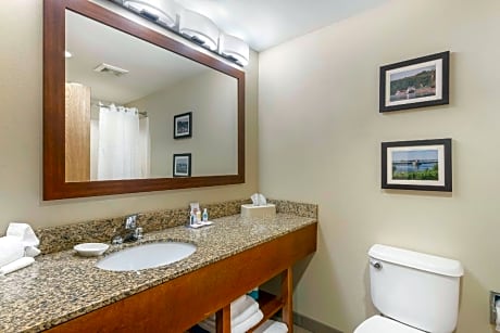 1 bedroom Suite