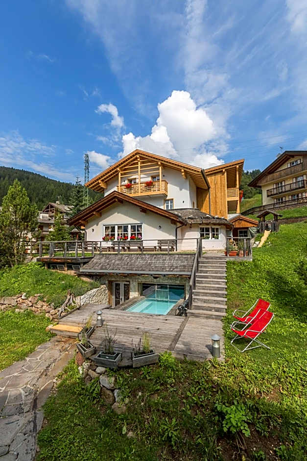 Arnica Mountain Hotel