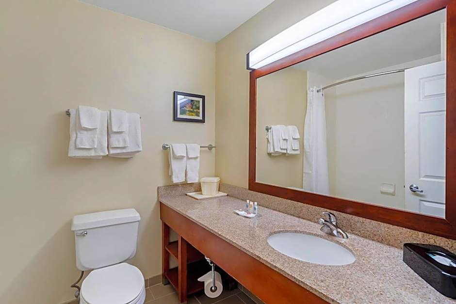 Comfort Suites Normal University area