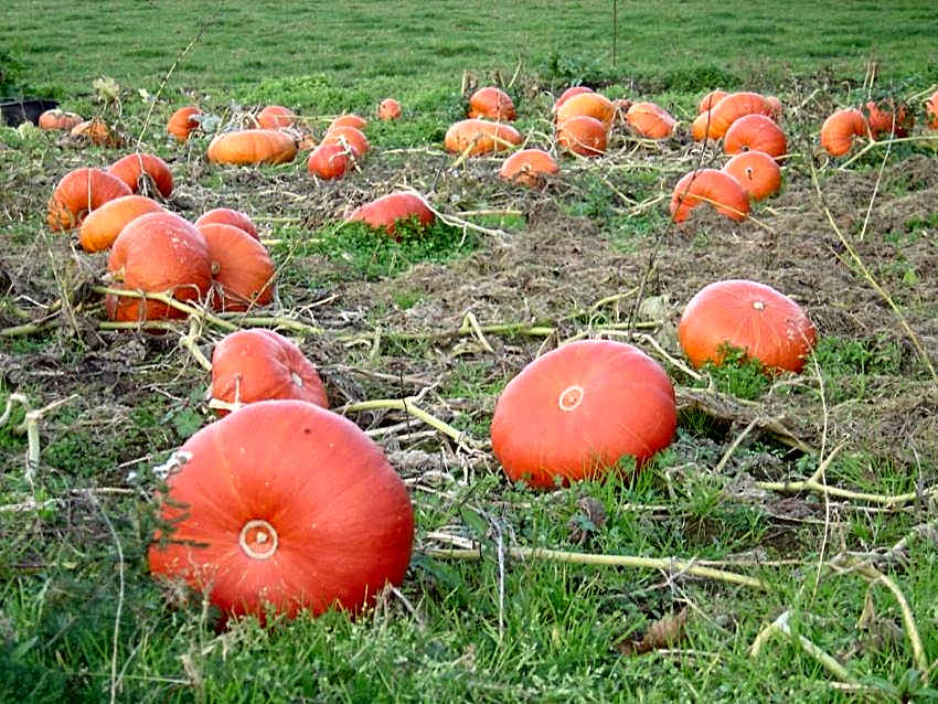 ty dreux entre terre et mer