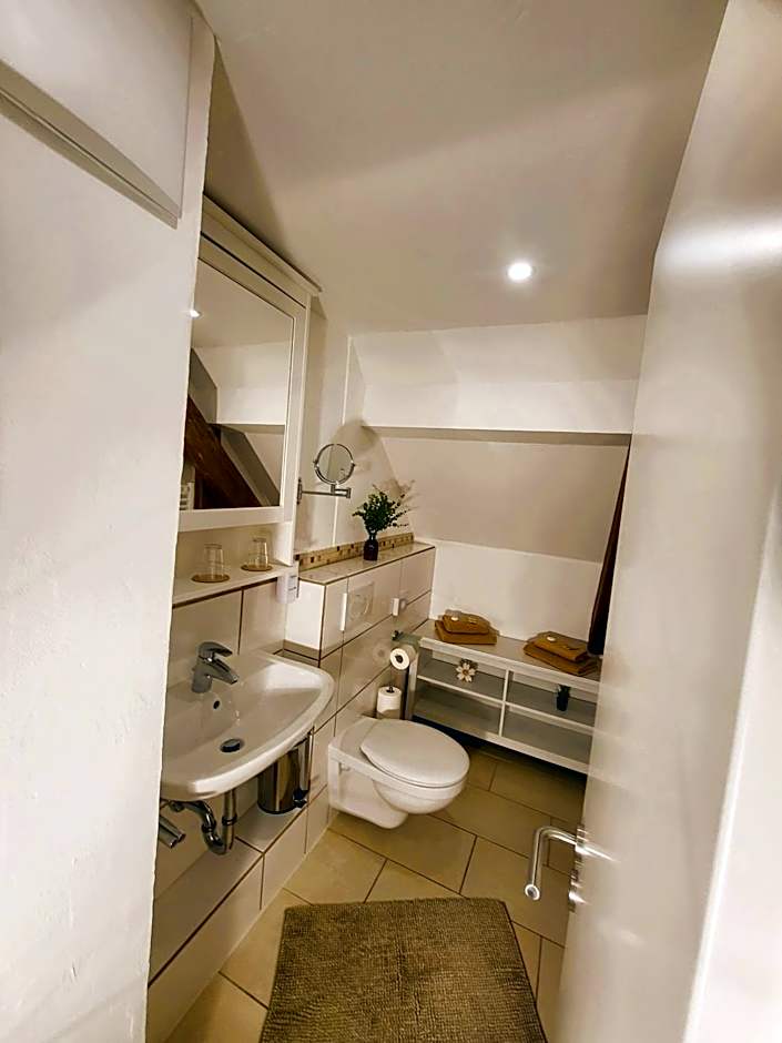 CJS Apartments - Chill or Drive am Nürburgring, new Box Spring Beds, new furniture, free Parking, WLan, TV-Streaming, Quiet Location