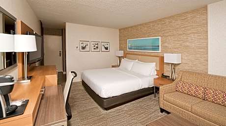 1 King Standard Sofa Bed