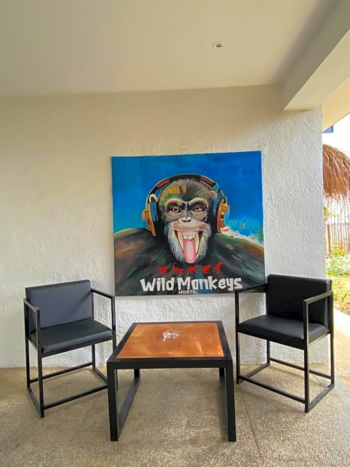 Wild Monkeys Hostel