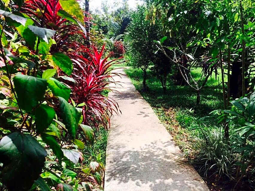 Khao Sok Green Mountain View