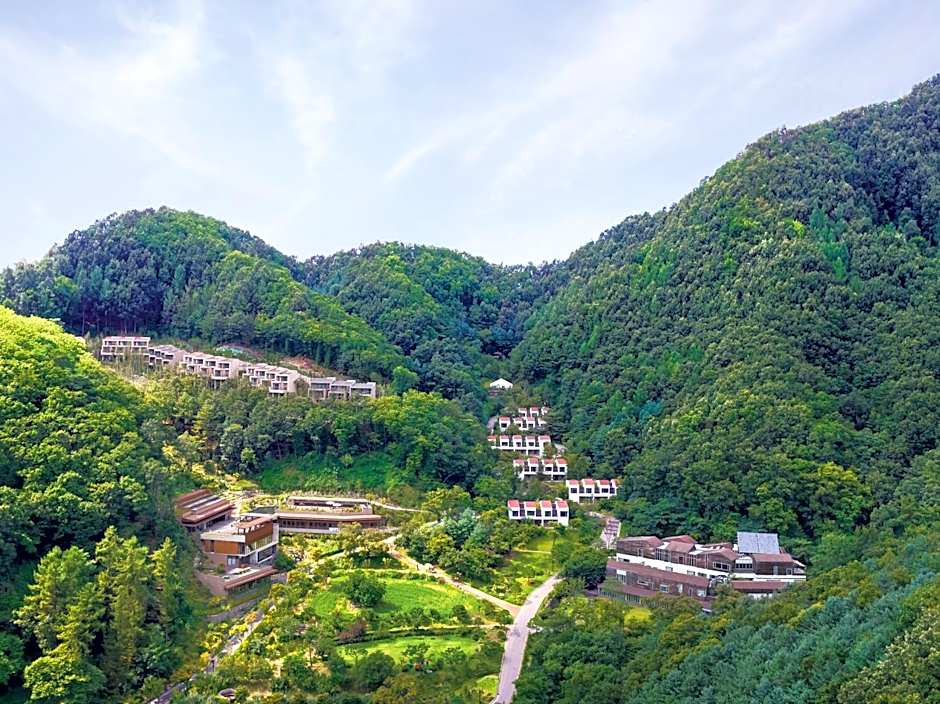 Healience Village
