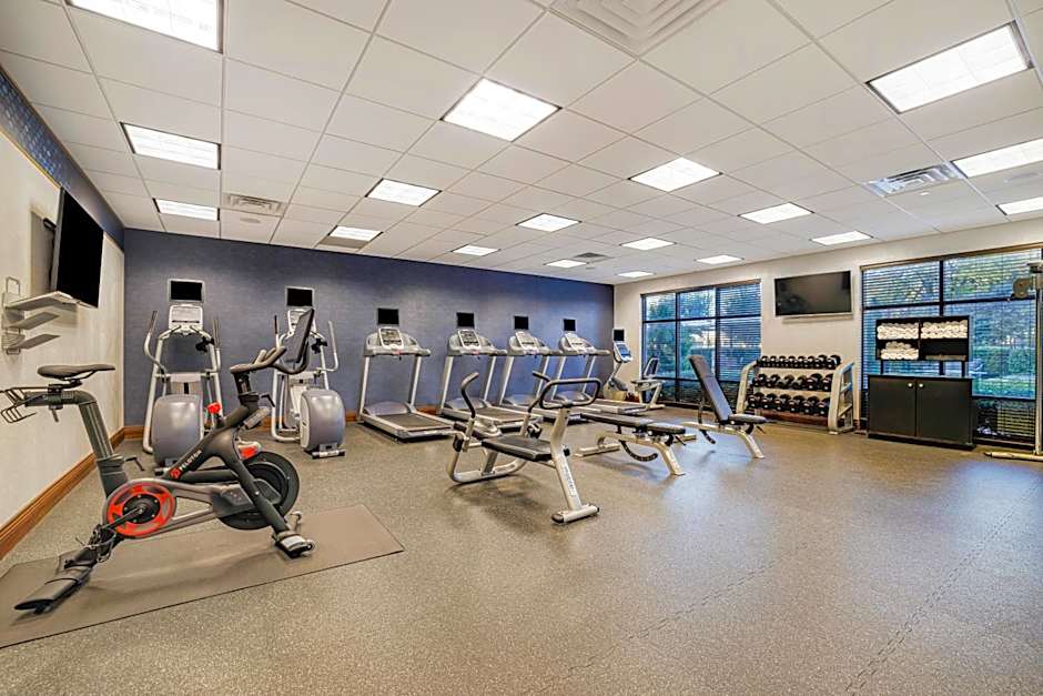 Hampton Inn By Hilton And Suites Dallas Plano East Tx