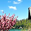 Adora Luxury Hotel