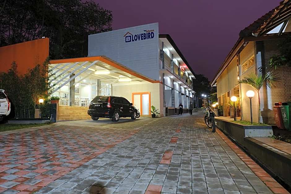 Wisma Lovebird