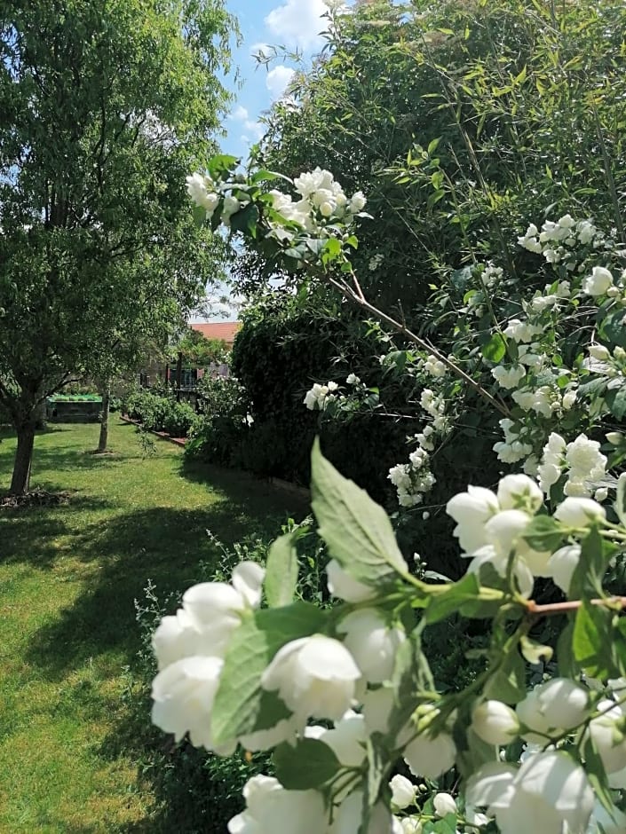 Chambre d'hôtes Les Magnolias