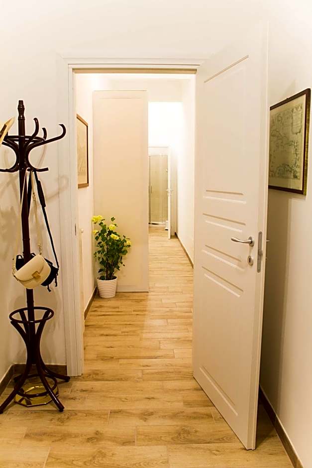 Daffodil in Roma San Pietro