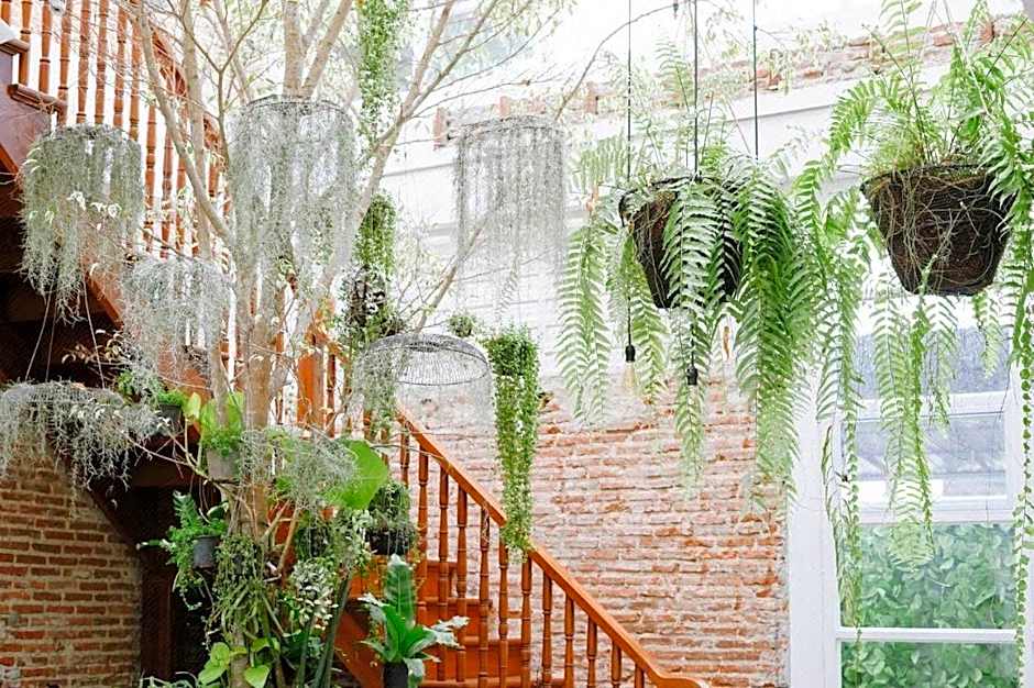 Memmoth Cafe & Hostel in Lampang