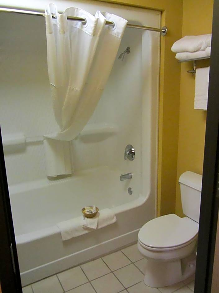 Microtel Inn & Suites by Wyndham Amarillo