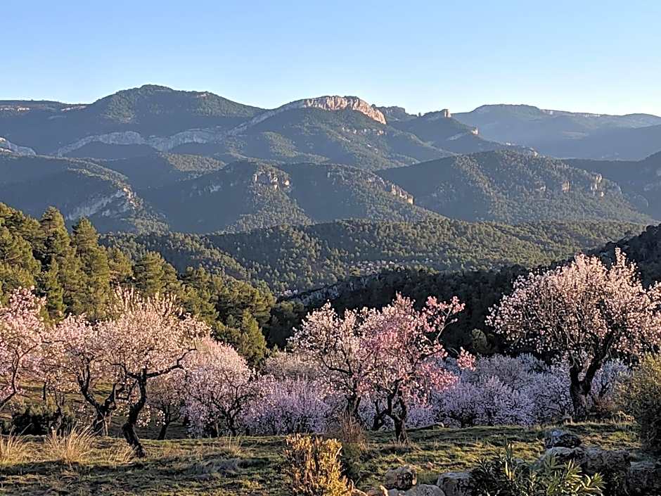 Hotel Mas de la Serra