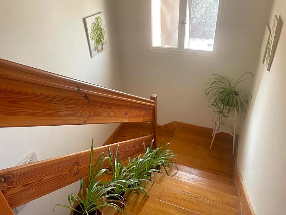 Las Hadas Albergue -solo para Peregrinos - Vegano -Bar