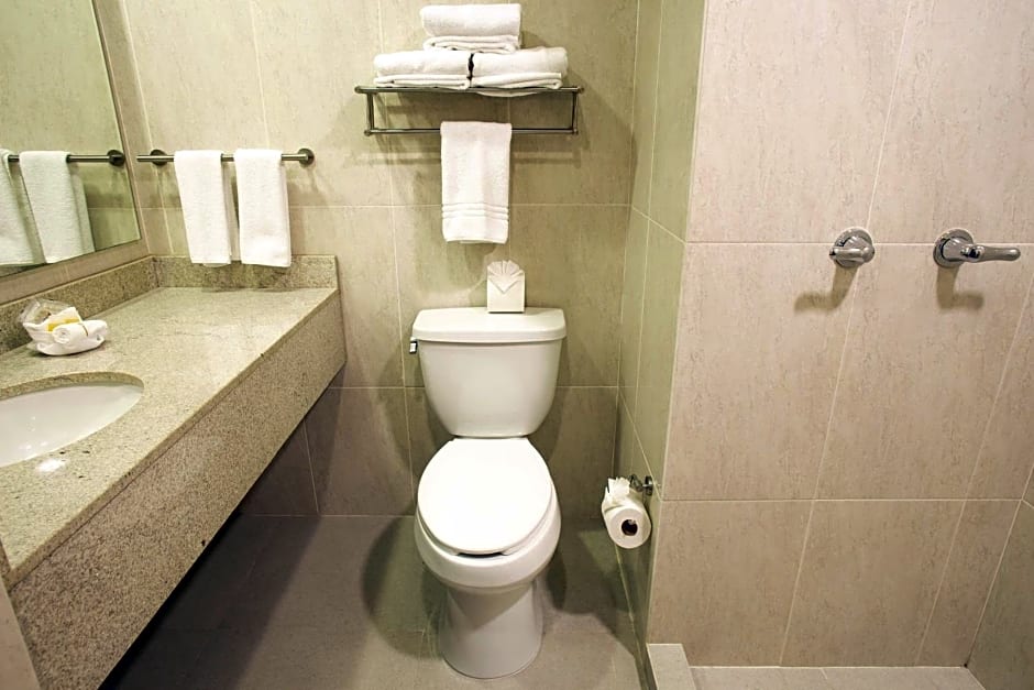 Hotel Plaza Calzada