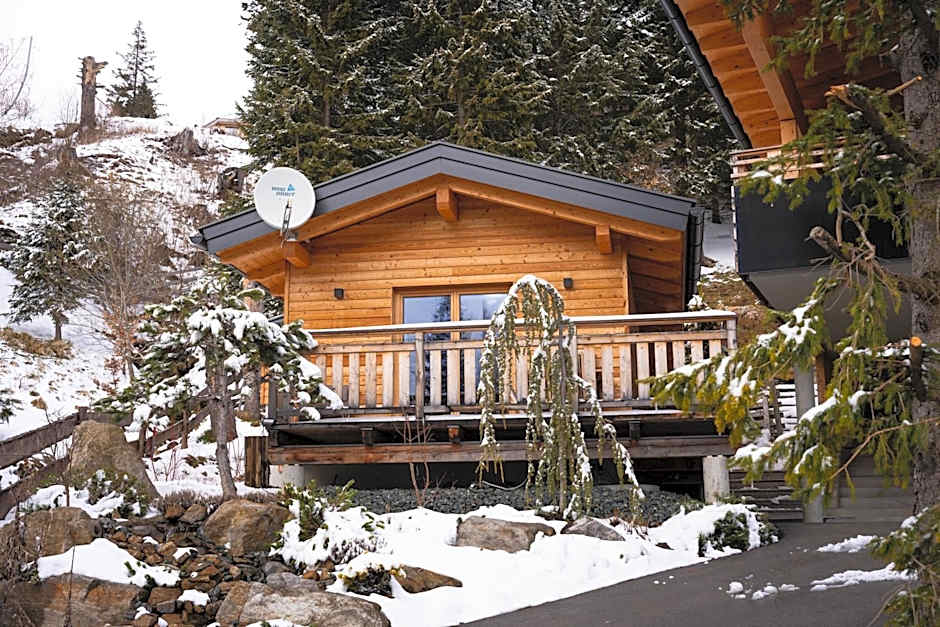 Hotel Alpengasthof Hochegger