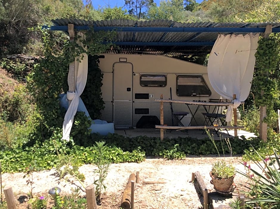 Guest Room Agro-turismo Quinta da Fonte Bed&Breakfast