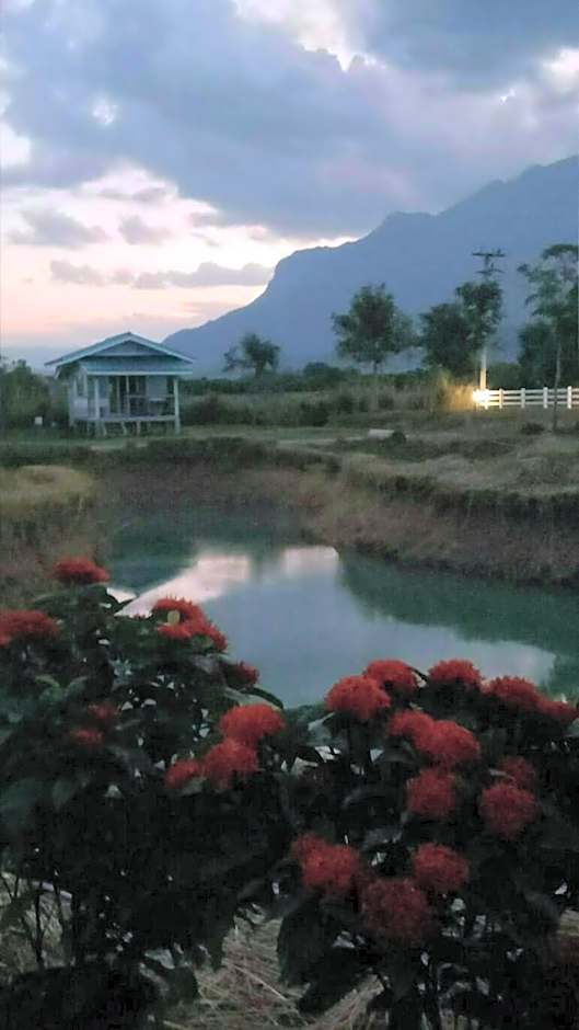 Ban Thung Talay Mok Chiangdao
