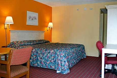 Single Room- Non-Smoking