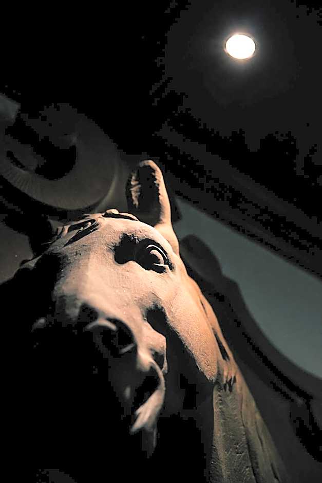 L'auberge Du Cheval Blanc et Spa