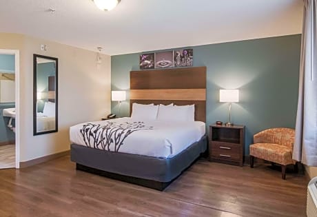 King Suite - Accessible/Non Smoking