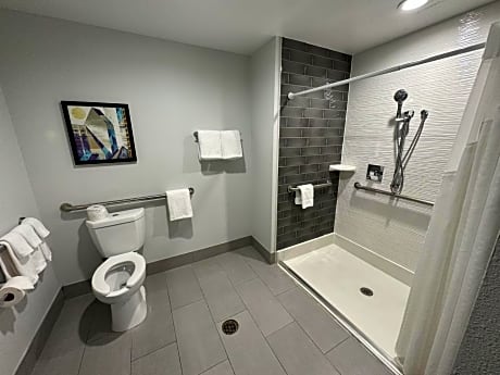 2 Double Communication Mobility Access Roll In Shower