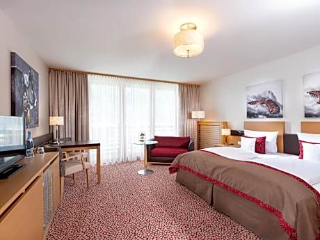 Comfort Double Room with Mountain View