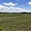 Domaine d'Ariane