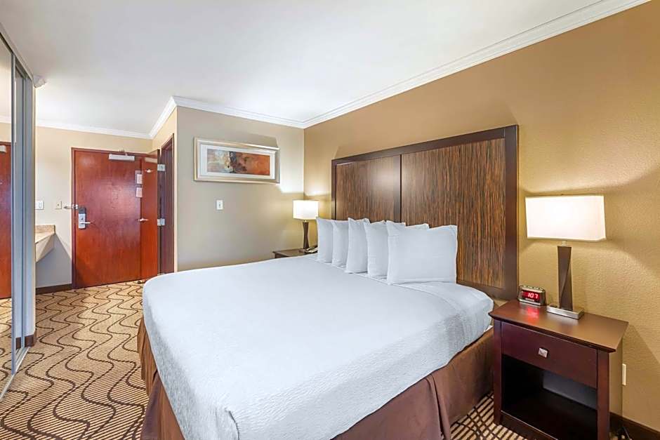 Best Western Plus Orchid Hotel & Suites