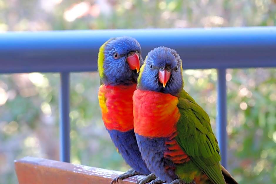 Sanctuary Lake Apartments