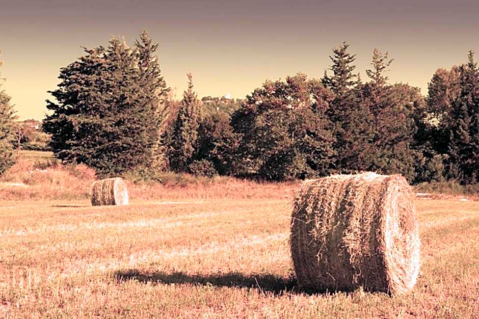 Hotel La Fonte Del Cerro