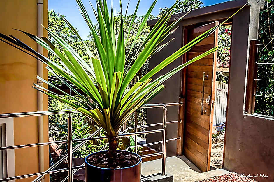 Jardim Secreto