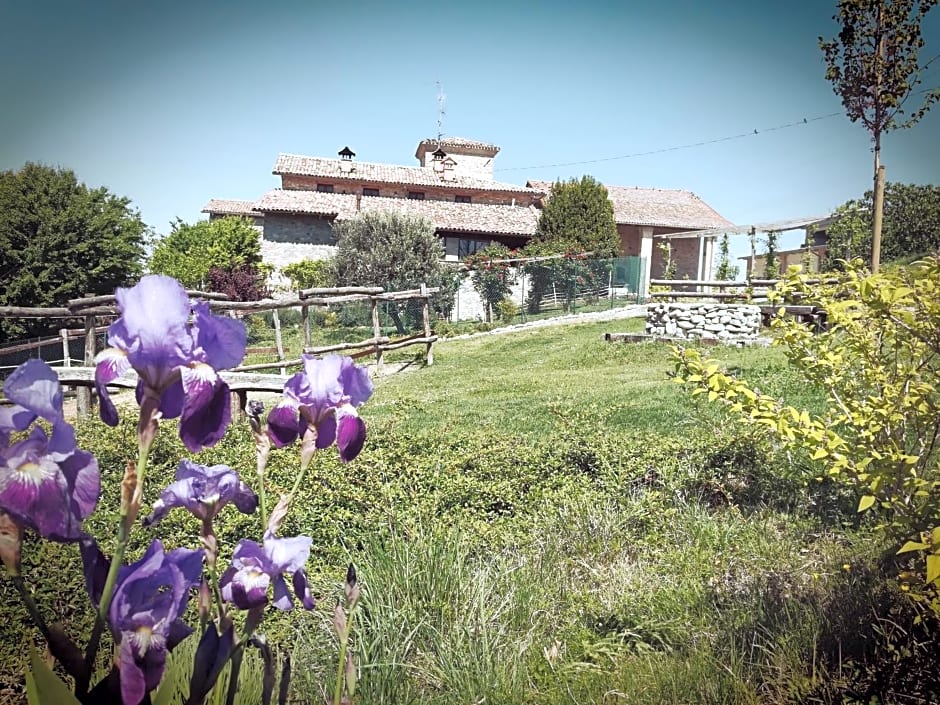 Tenuta i musi lunghi