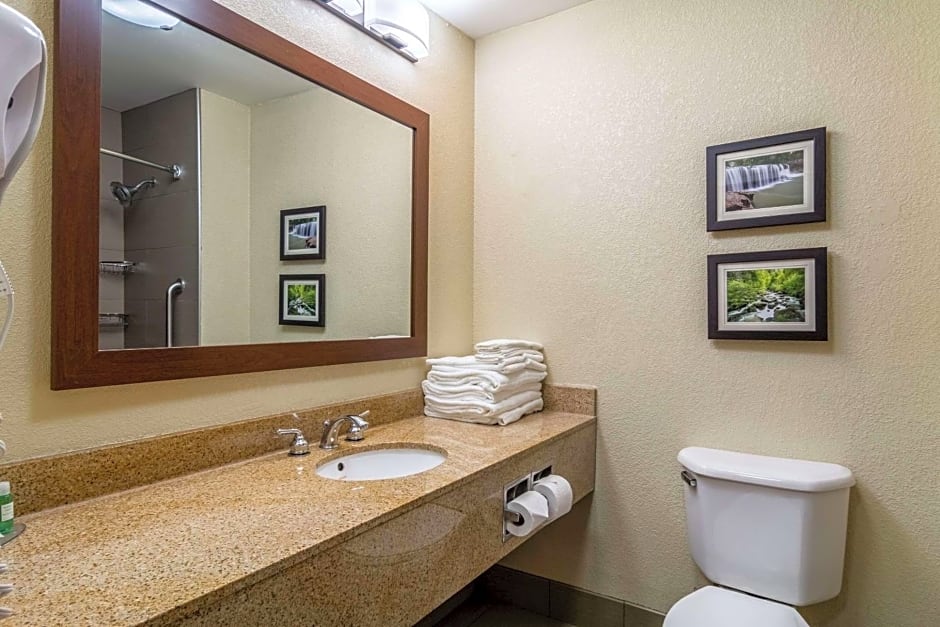 Comfort Inn & Suites - Hannibal