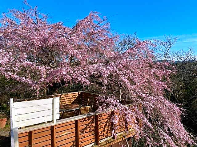 Houtouji Temple