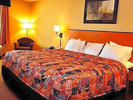 1 bedroom Suite