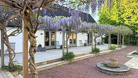 Wisteria Österlen