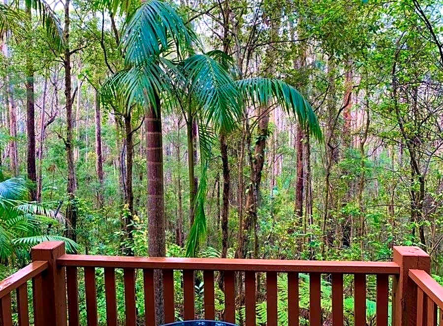 Springbrook Mountain Chalets