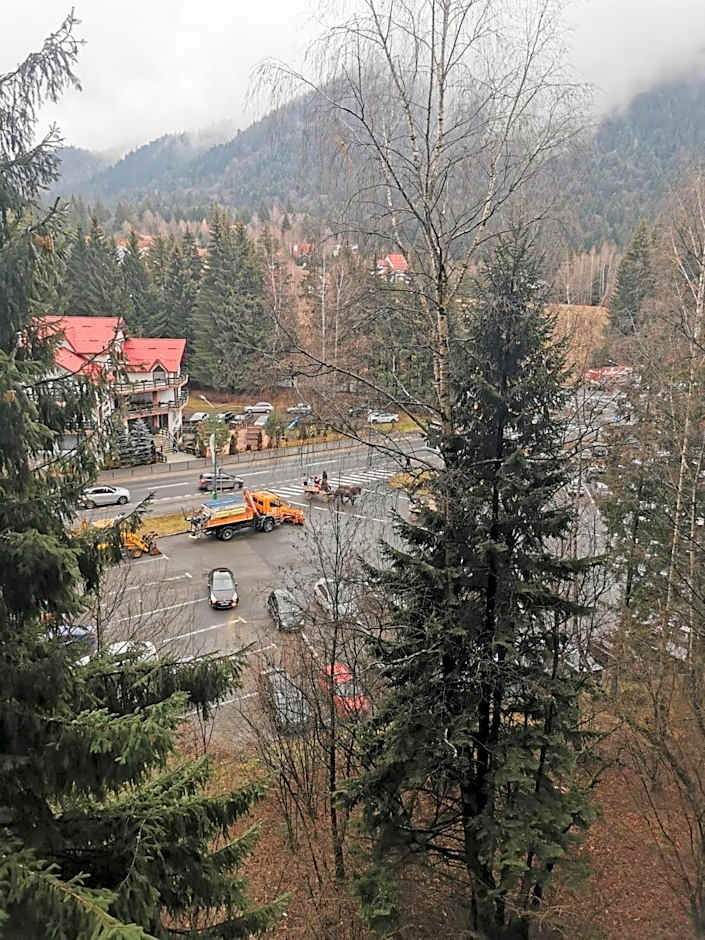 Alpin Aparthotel Ap 508 Poiana Brasov- acces la piscină gratuit