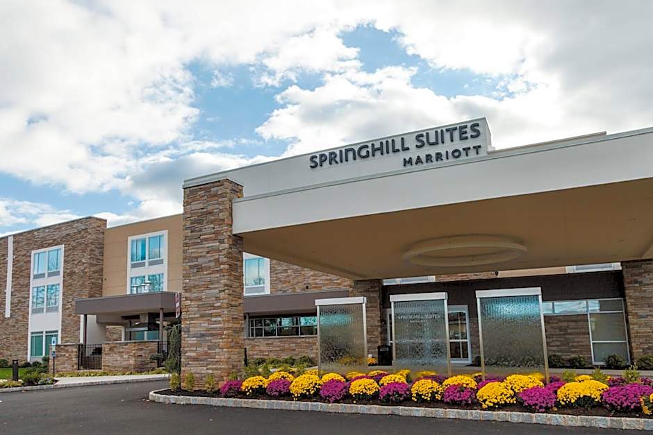 SpringHill Suites by Marriott Somerset Franklin Township