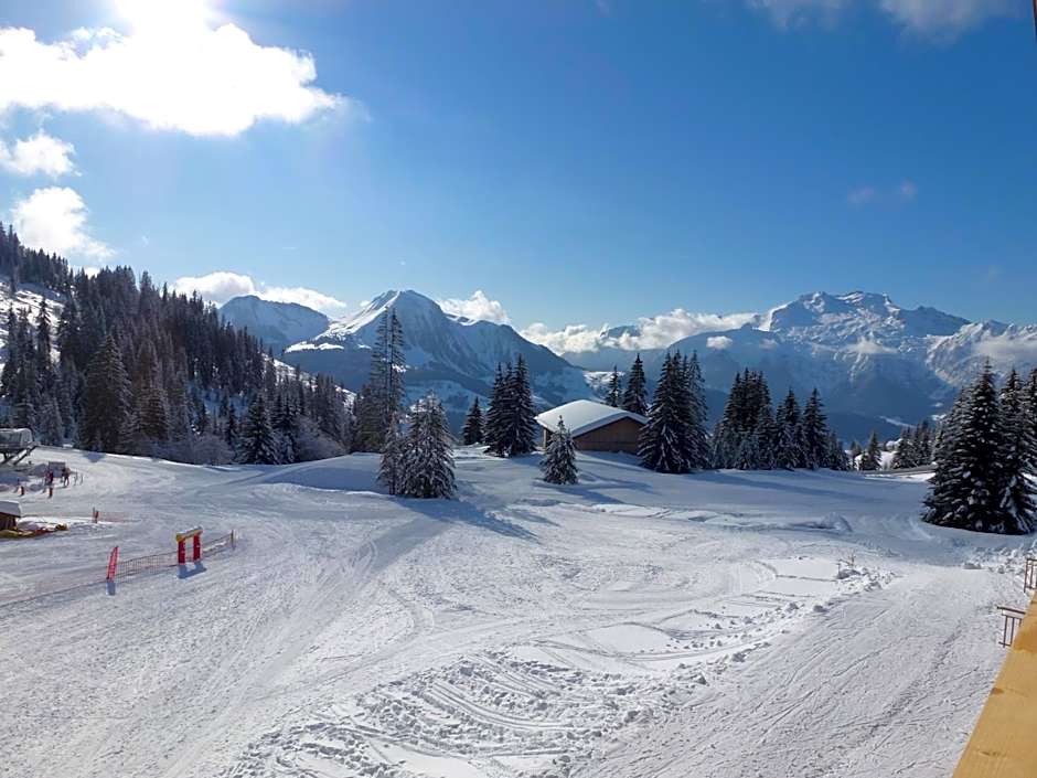 Hôtel Restaurant "Les Sapins" Wellness & Gourmet