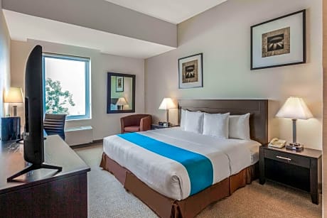1 King Bed Executive Room