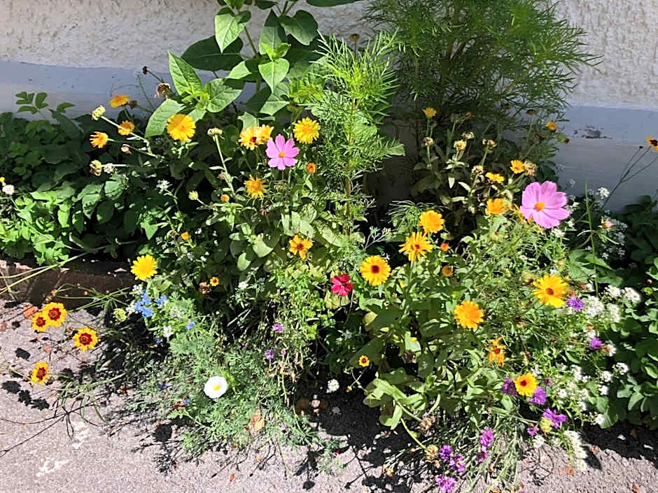 Fenix Hall Boutique Hotel Hallstatt