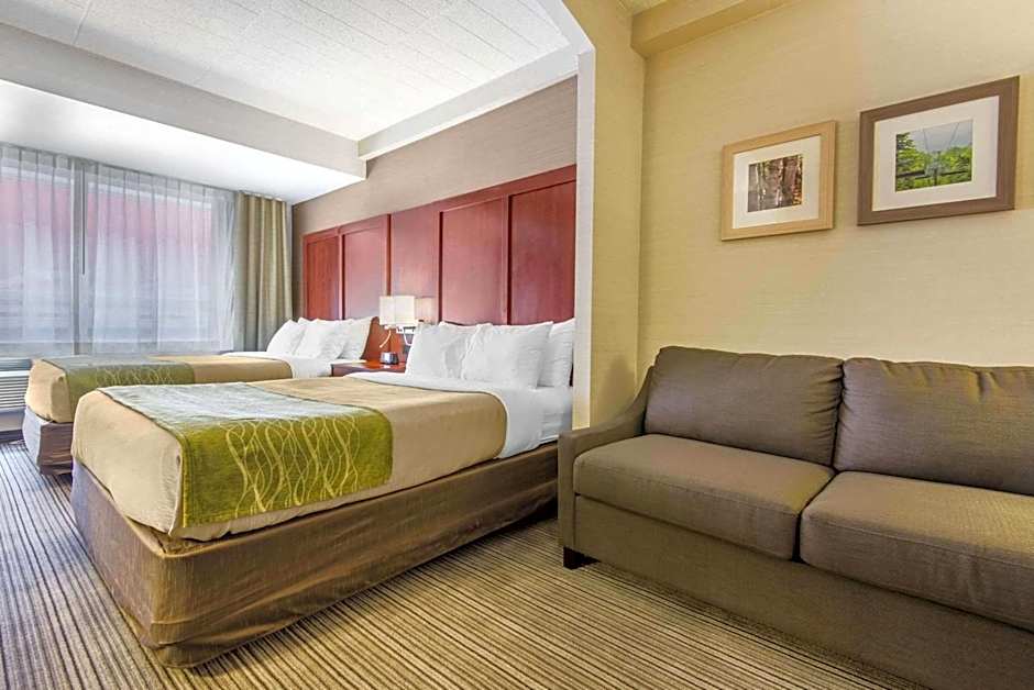 Comfort Inn & Suites Collingwood