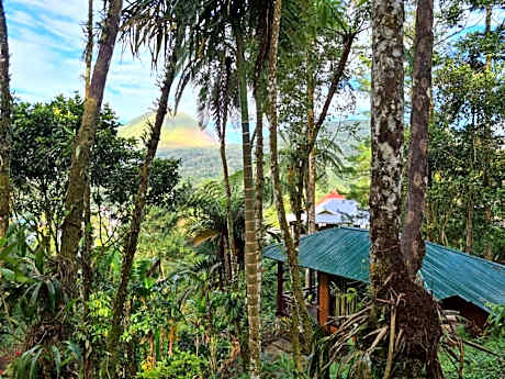 Rimba eco Resort