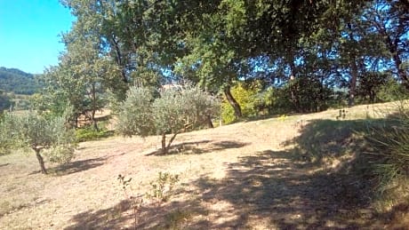 Tana Del Tasso