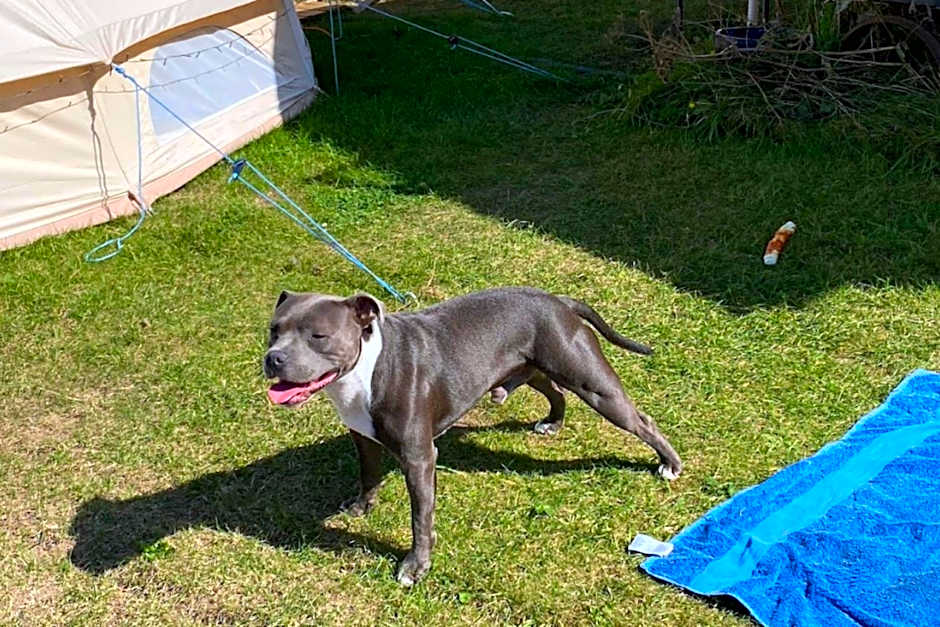 Norfolk Accommodation