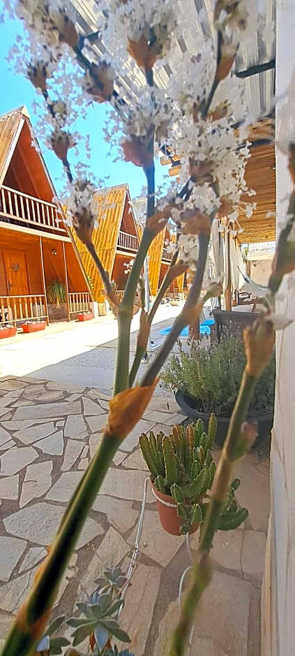 Pousada Viva - São Thomé das Letras